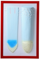 Барельефная модель "Клеточное строение корня" - «globural.ru» - Чайковский