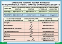 Химия. Сравнение понятий изомер и гомолог. Функциональные группы классов органических веществ (винил) - «globural.ru» - Чайковский