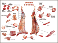 Правила разделки мясных туш "Баранина и ягнятина" 1000*1400 винил - «globural.ru» - Чайковский