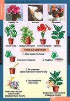 Окружающий мир 1 класс (комплект таблиц) - «globural.ru» - Чайковский