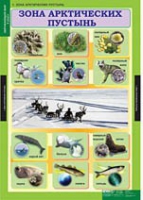 Окружающий мир 4 класс (комплект таблиц) - «globural.ru» - Чайковский