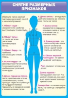 Стенд "Снятие мерок" (вариант 2) - «globural.ru» - Чайковский