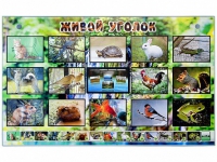 Комплект оборудования "Живой уголок" (животные) с тифлопереводом и сурдокомментариями - «globural.ru» - Чайковский