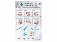 Интерактивный стенд "Живые зубки" - «globural.ru» - Чайковский