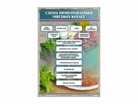 Стенд "Схема приготовления мясных котлет" - «globural.ru» - Чайковский