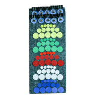 Дидактический набор «Кружки и зажимы» - «globural.ru» - Чайковский