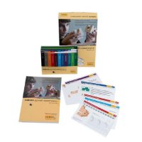 Методическое пособие Cuboro – думай креативно - «globural.ru» - Чайковский