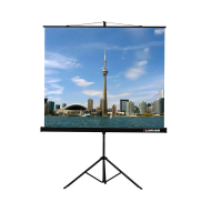 Проекционный экран на штативе Lumien Eco View (LEV-100105) 160x160 см - «globural.ru» - Чайковский