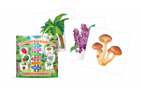 Набор карточек для знакомства с лексической темой растения "Ботанический сад" - «globural.ru» - Чайковский