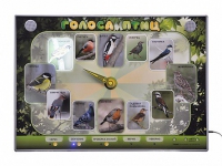 Электрифицированный стенд-часы "Голоса птиц" с комплектом дидактического материала - «globural.ru» - Чайковский