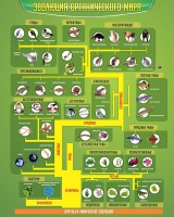 Стенд "Эволюция органического мира" - «globural.ru» - Чайковский