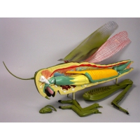 Модель "Кузнечик" - «globural.ru» - Чайковский