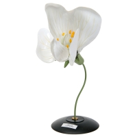 Модель "Цветок гороха" - «globural.ru» - Чайковский