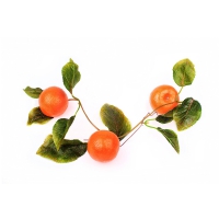 Муляж "Ветка мандарин" - «globural.ru» - Чайковский