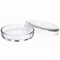 Чашка Петри 100х20 - «globural.ru» - Чайковский