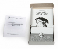 Модель-аппликация Размножение шляпочного гриба (набор из 9 карт) - «globural.ru» - Чайковский