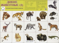 Раздаточные карточки "Дикие животные" часть 2 - «globural.ru» - Чайковский