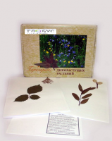 Гербарий Дикорастущие растения (28 видов) - «globural.ru» - Чайковский