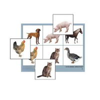 Лото "Домашние животные" (4 планшета, 24 карточки, цветное, ламинированное) - «globural.ru» - Чайковский