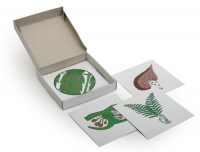 Модель-аппликация Размножение папоротника (набор из 8 карт) - «globural.ru» - Чайковский