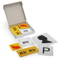 Модель-аппликация Наследование резус-фактора (набор из 19 карт) - «globural.ru» - Чайковский