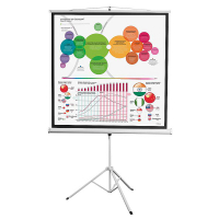 Экран на штативе DSKD-1104 - «globural.ru» - Чайковский