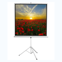 Экран на штативе DSKD-1105  - «globural.ru» - Чайковский