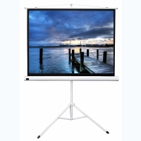 Экран на штативе DSKD-4302 - «globural.ru» - Чайковский