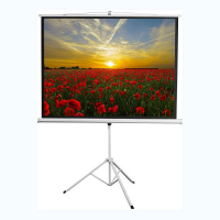 Экран на штативе DSKD-4303 - «globural.ru» - Чайковский