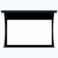 Экран настенный с электроприводом DSTPX-16915 - «globural.ru» - Чайковский