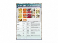 Стенд "Формы нарезки овощей" - «globural.ru» - Чайковский