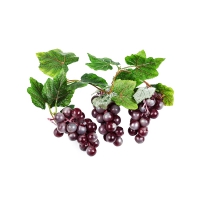 Ветка муляжей "Виноград" - «globural.ru» - Чайковский