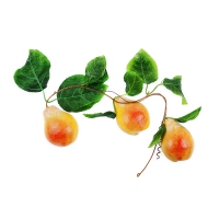 Муляж "Ветка груши" - «globural.ru» - Чайковский