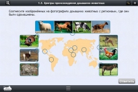 Интерактивные курсы. Биология 7 класс. Расширенный - «globural.ru» - Чайковский