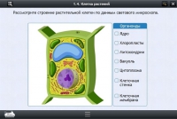 Интерактивные курсы. Биология 9 класс. Расширенный - «globural.ru» - Чайковский