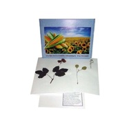 Гербарий Сельскохозяйственные растения (28 видов) - «globural.ru» - Чайковский