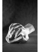 Кисть Давида - «globural.ru» - Чайковский