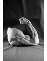 Рука, согнутая в локте - «globural.ru» - Чайковский