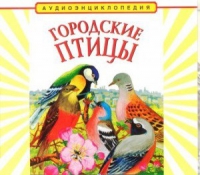 CD "Аудиоэнциклопедия. Городские птицы" - «globural.ru» - Чайковский