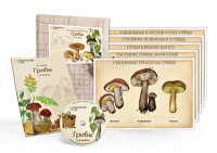 Комбинированное наглядное пособие «Грибы» - «globural.ru» - Чайковский