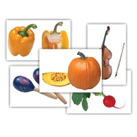 Набор предметных картинок "Овощи. Музыкальные инструменты" - «globural.ru» - Чайковский