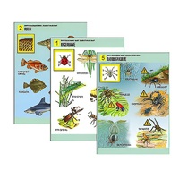 Комплект таблиц для начальной школы "Окружающий мир. Животный мир" - «globural.ru» - Чайковский