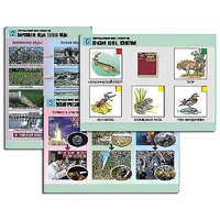 Комплект таблиц для  начальной школы "Окружающий мир. Экология" - «globural.ru» - Чайковский