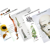 Таблицы по природоведению 1-3 класс - «globural.ru» - Чайковский