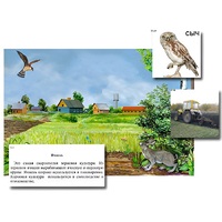 Магнитный плакат-аппликация "Поле: биоразнообразие и взаимосвязи в сообществе" - «globural.ru» - Чайковский