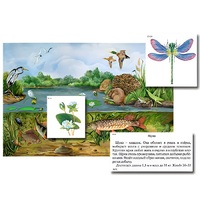 Магнитный плакат-аппликация "Водоем: биоразнообразие и взаимосвязи в сообществе" - «globural.ru» - Чайковский