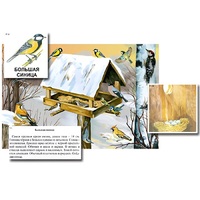 Магнитный плакат-аппликация "Биоразнообразие и экологические группы. Птицы зимой" - «globural.ru» - Чайковский