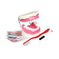 Игровой комплект "Чистим зубы" - «globural.ru» - Чайковский