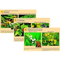 Гербарий фотографический "Ядовитые растения" - «globural.ru» - Чайковский