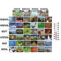 Фенологические наблюдения - «globural.ru» - Чайковский